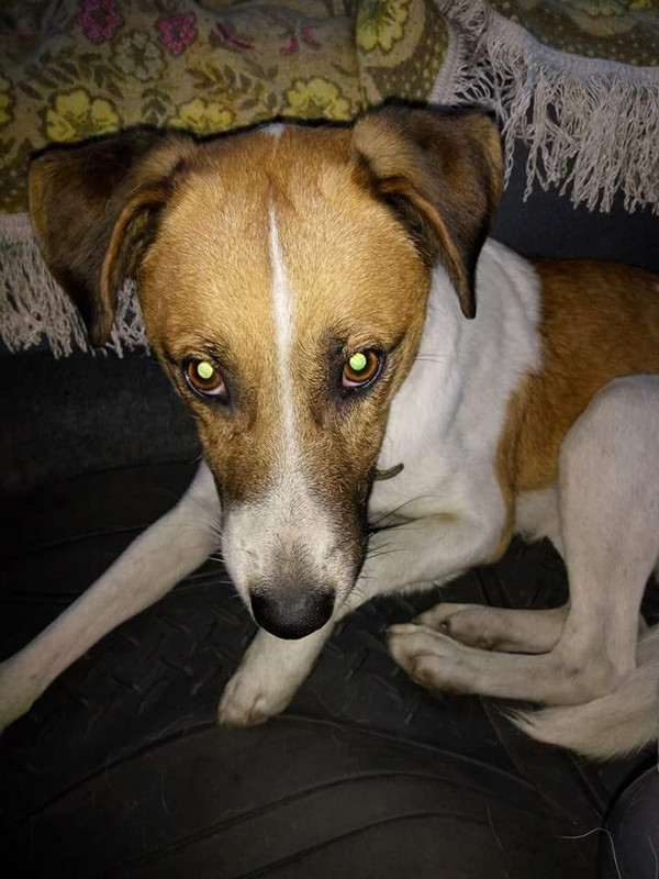 34463151_1268814826582348_8490686534968672256_n