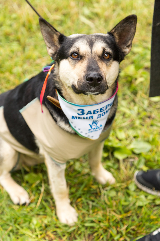 A43CB9DF-D333-40CC-84C7-0B60EB2342B5