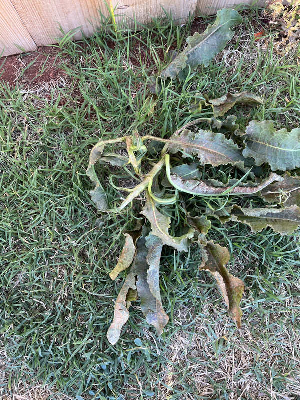 FF6DCE2A-86AC-4F81-8FF5-935133E28661