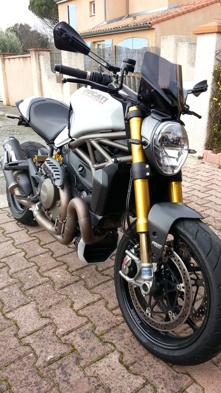 saute vent 20150117 (14)