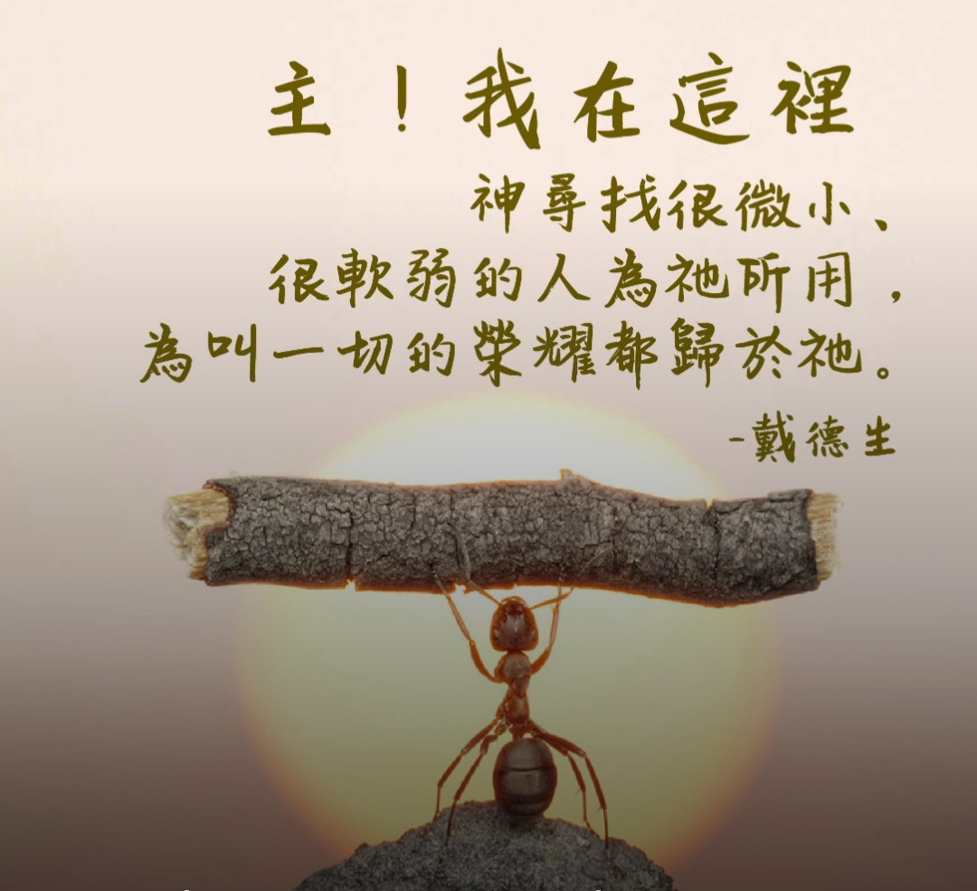 https://i.postimg.cc/g2VRZ6Qb/IMG-20260725-133643.jpg