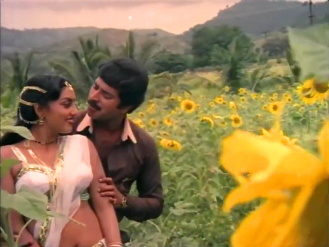 vlcsnap-2023-02-11-09h37m26s835