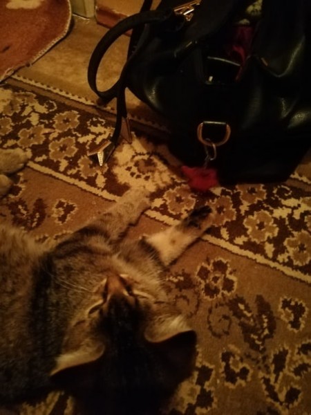 Мишель_19_10_5