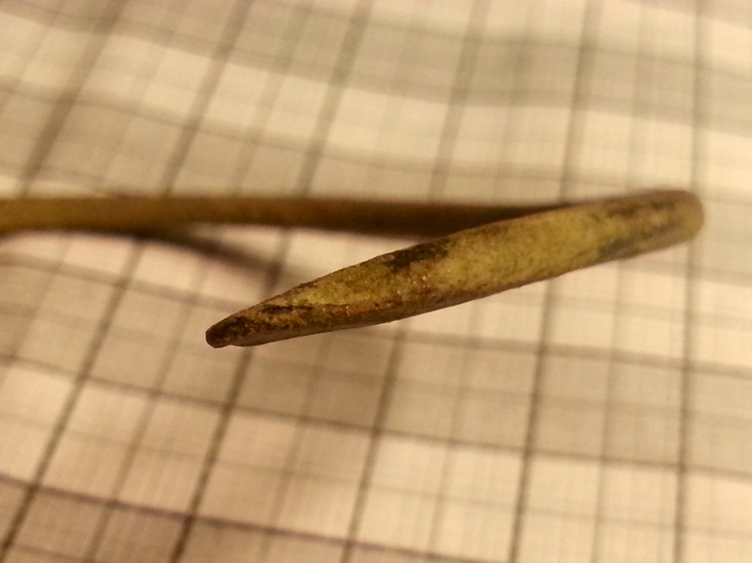 CameraZOOM-20140221203230376_PerfectlyClear