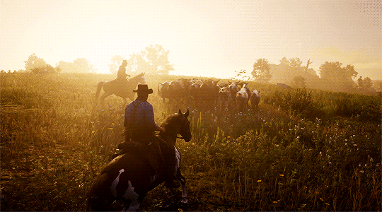 rdr