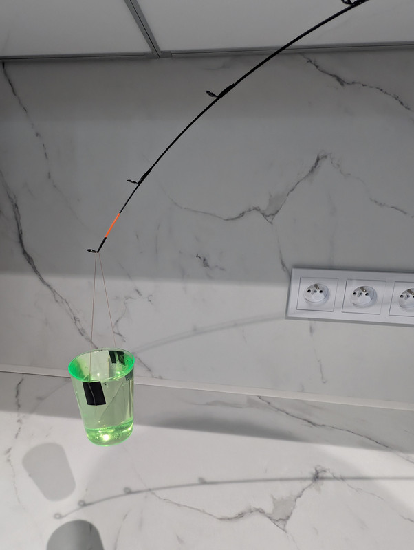 PXL 20260213 080541314