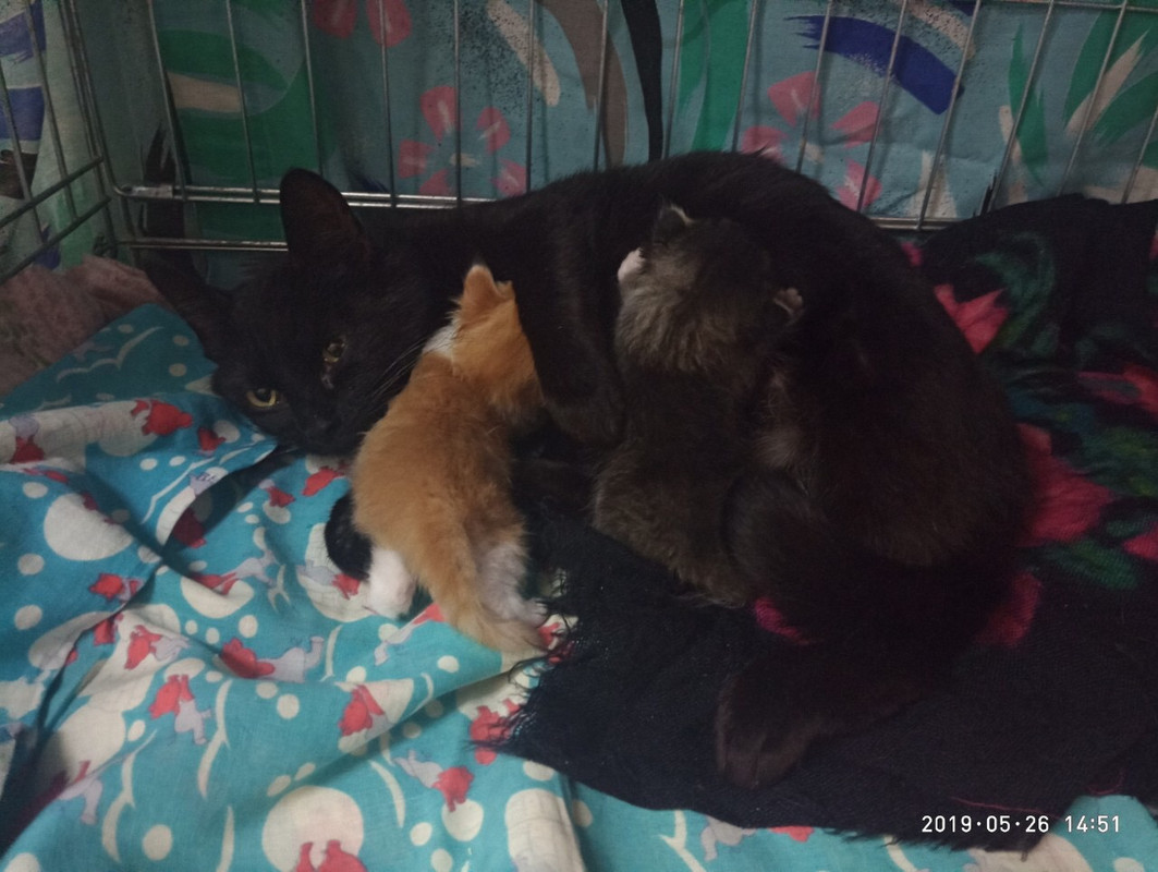 D076B19B-AFAF-4995-B515-1D5A5A772537