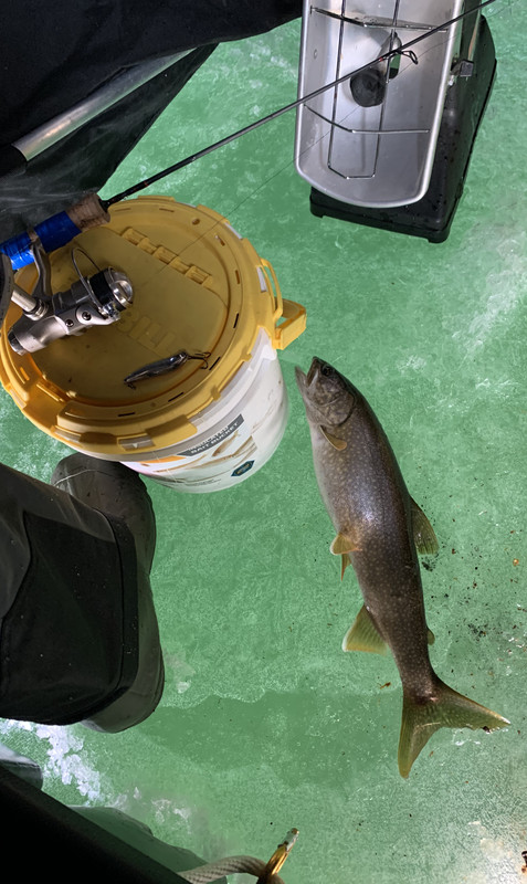 9E58217E-F92F-4605-9A61-B9BA273BDABC