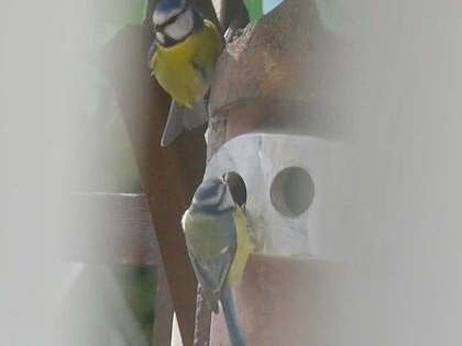 9323525C-29C8-4F56-AB8B-5799D5473BDC