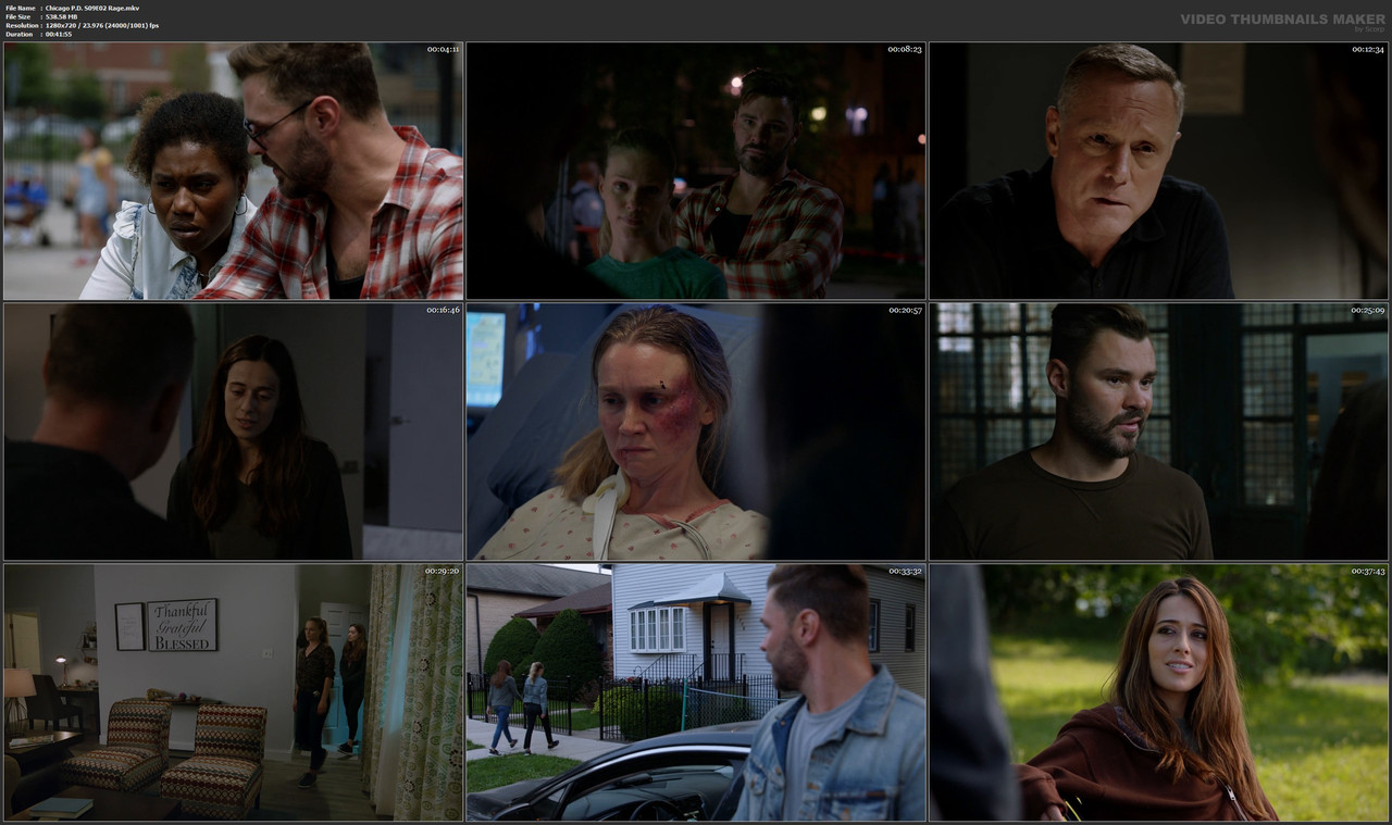 Chicago P.D. S09E02 Rage.mkv