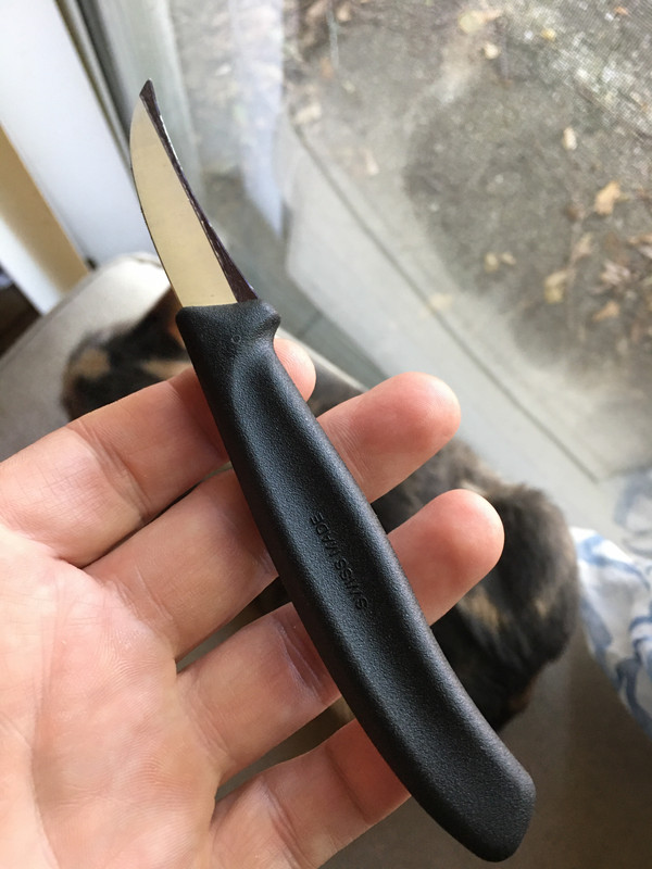 AFBAF9A2-CB6B-4CE8-AC62-62978B2C68D5