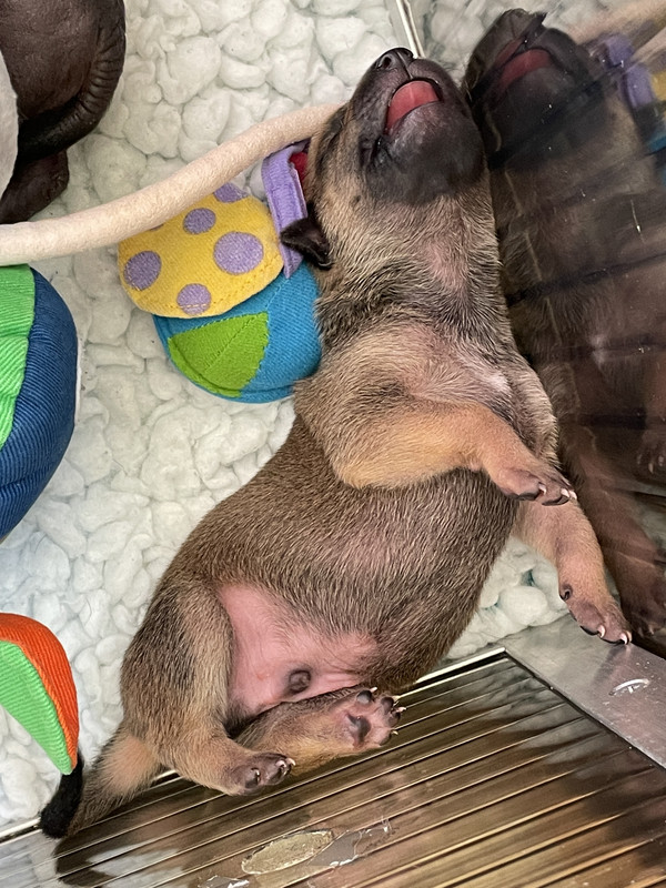 A1102FB0-6610-498F-8F91-3D52DA29591C