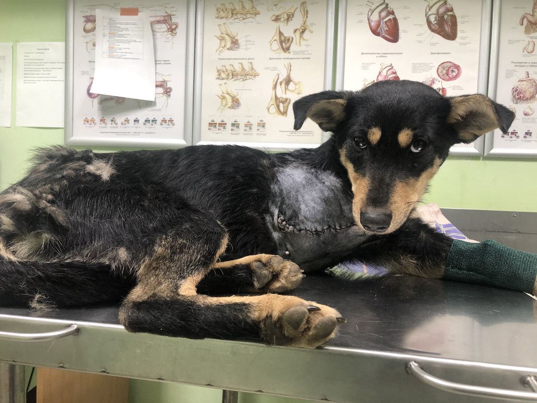 1DAB6534-FA3D-444B-86B3-B72409FD6985