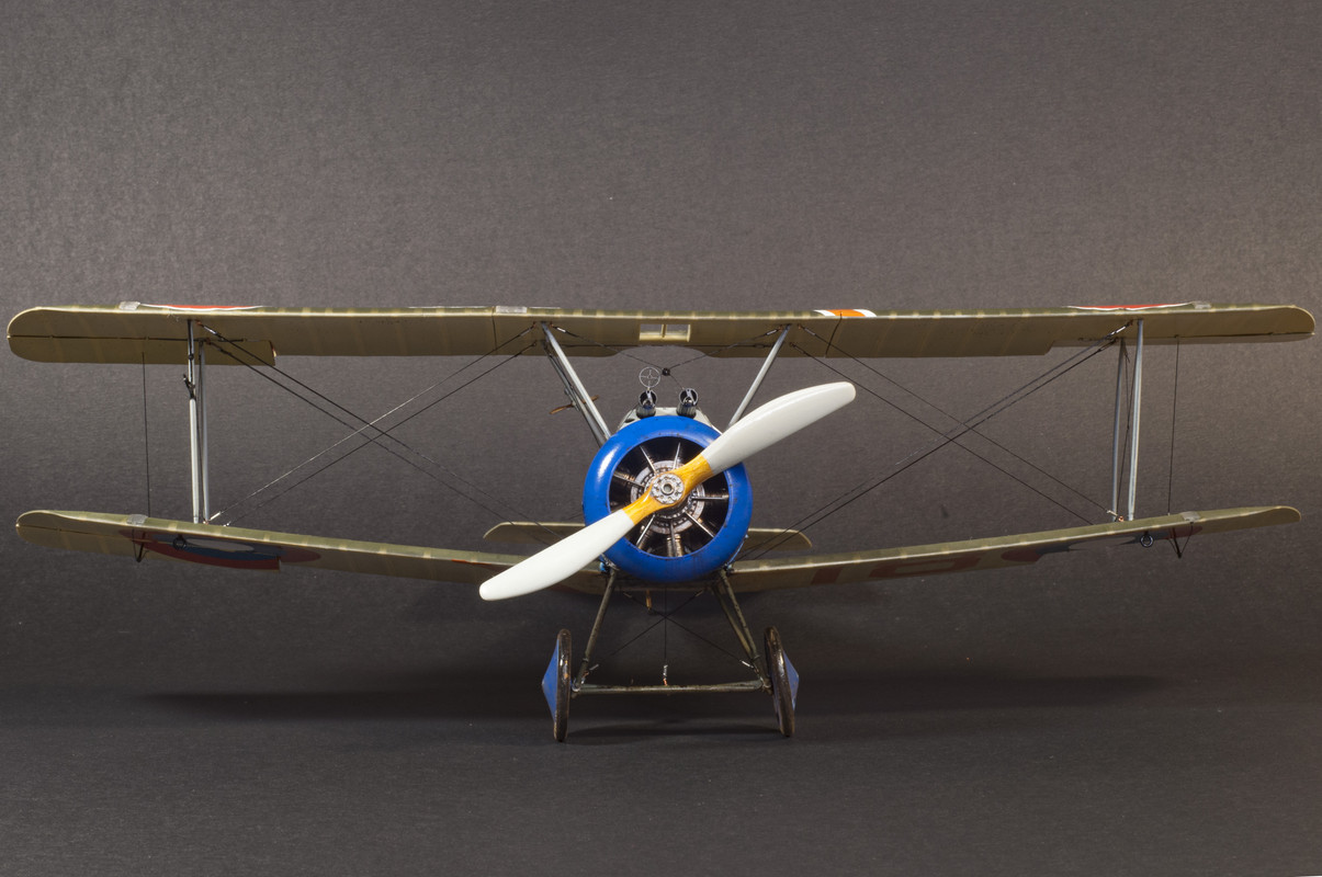 DSC-7030-copy.jpg