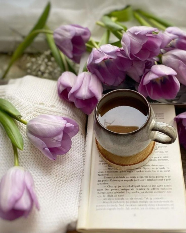 Screenshot_20230124_001848_Chrome