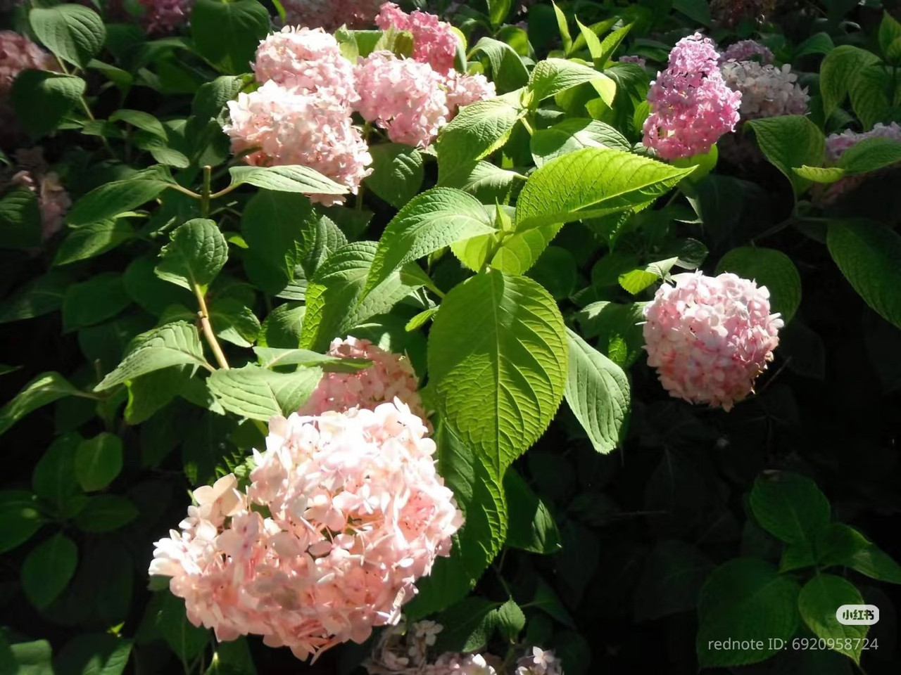 photo 15 2026 01 03 21 24 58