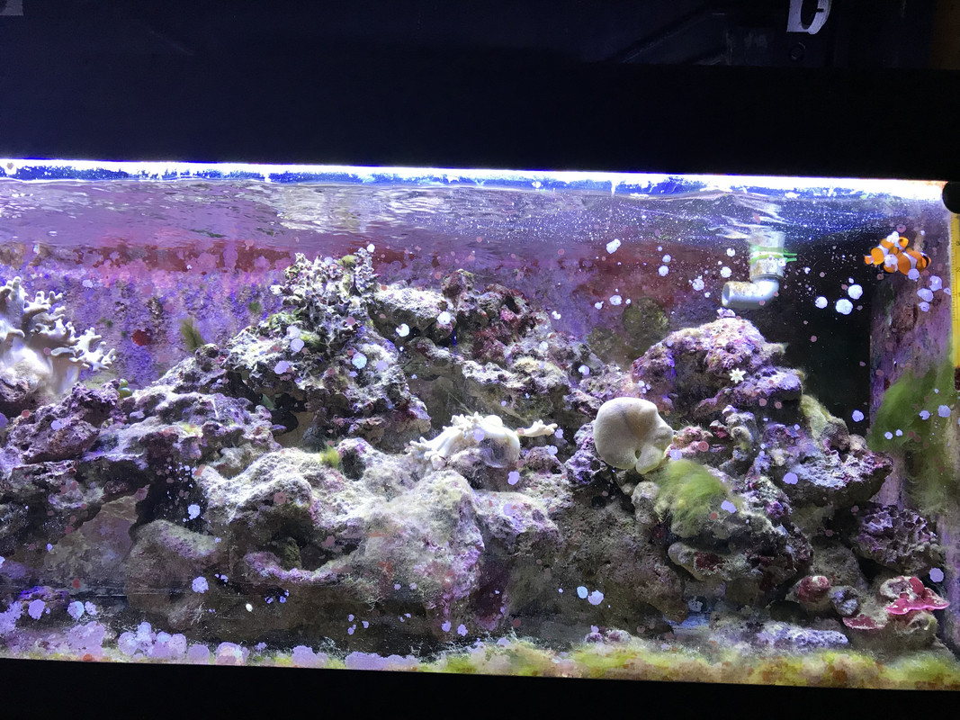 22ACF5BB-2F94-40A5-B8B9-836030CCA503