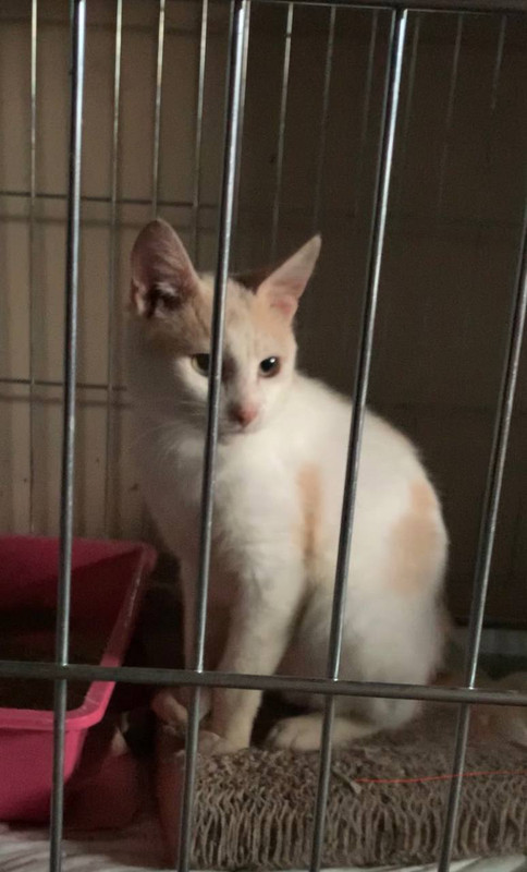 04d646e0-0730-415f-926f-36c91c53b496