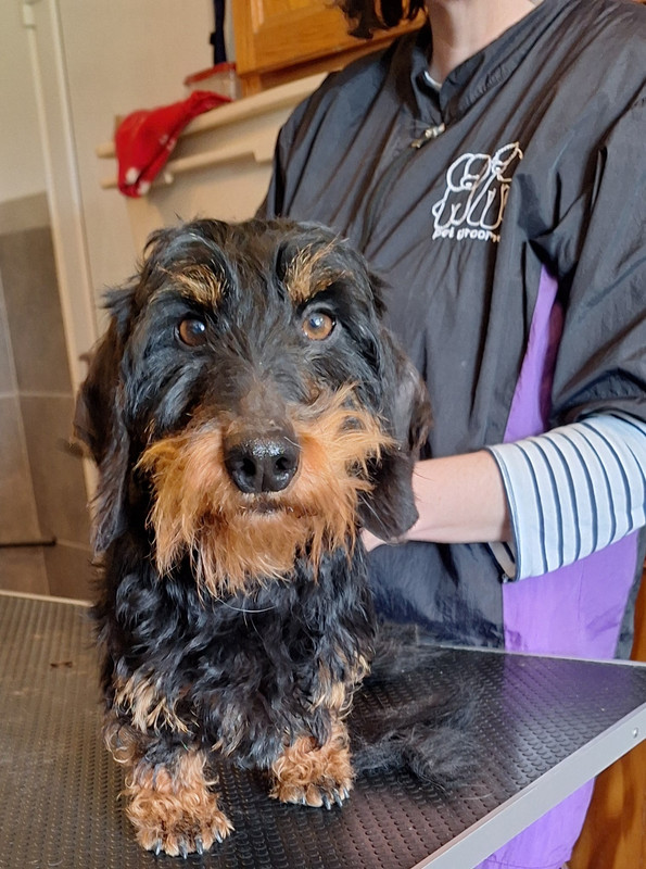 [Image: 20250313-133919.jpg]