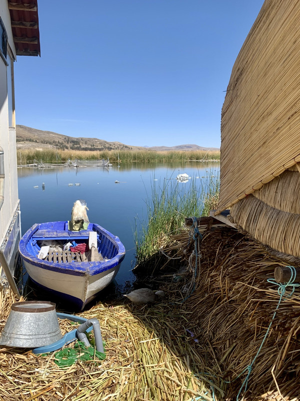 CF209154-698F-4F87-A5DA-DE7605C5BEAB