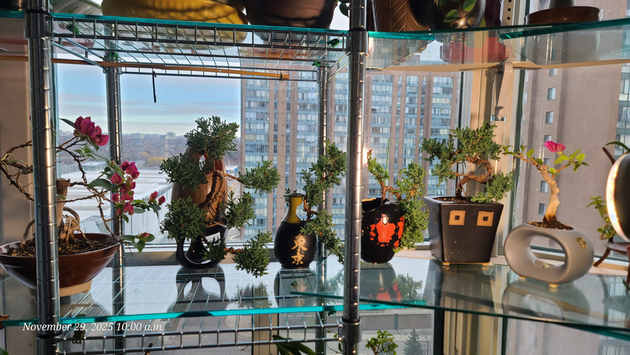 [Image: 20251129-100046.jpg]