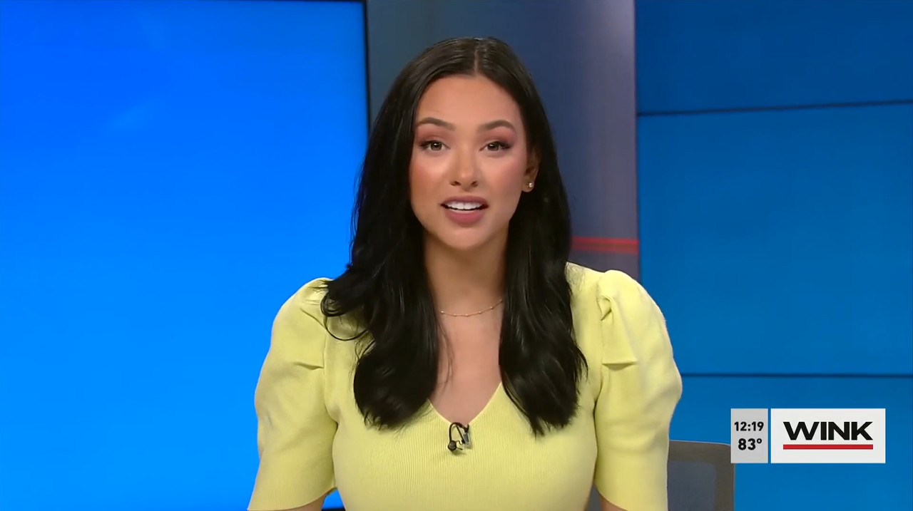 03.29 - 17.00.00 - The Wink Noon News  ᴺᵉʷ. Midday News Update.-1.mp4_snapshot_25.04.161