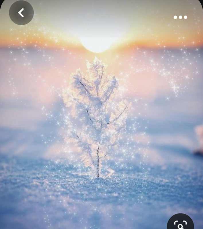 Screenshot_20231006_221904_Pinterest