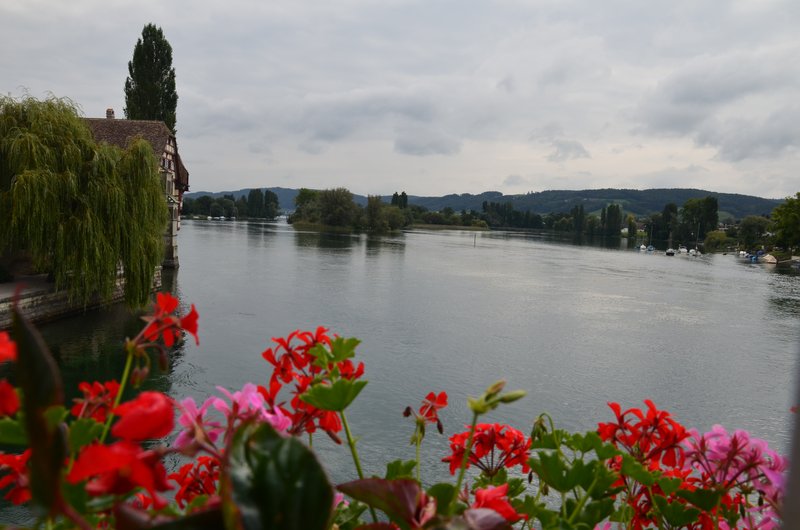 Suiza y sus pueblos-2019 - Blogs de Suiza - STEIM IM RHEIN-6-9-2019 (125)