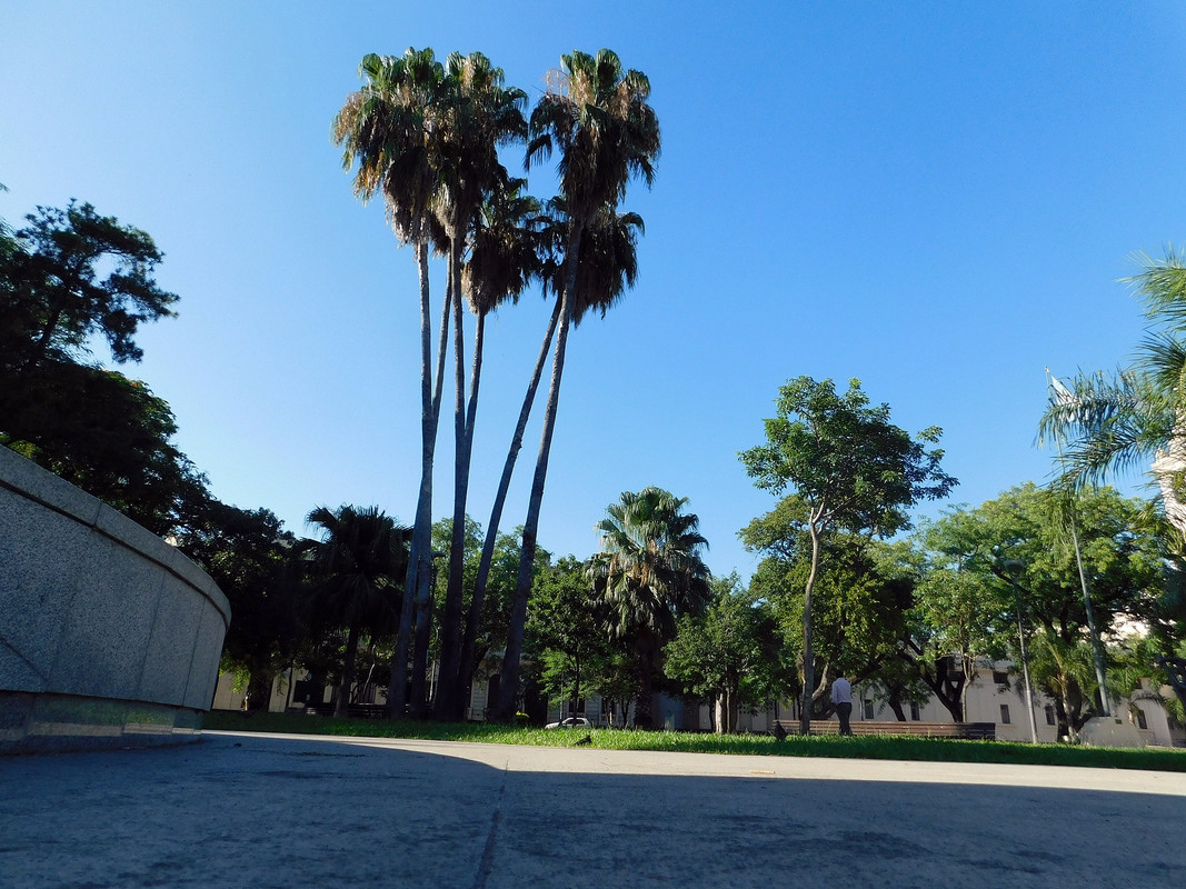 DSCN0519.jpg