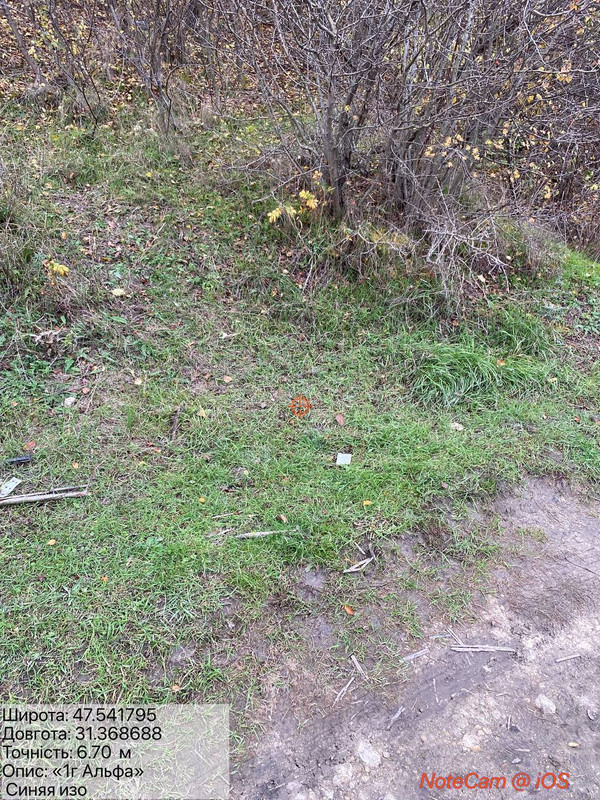 photo 33 2025 10 29 16 48 50