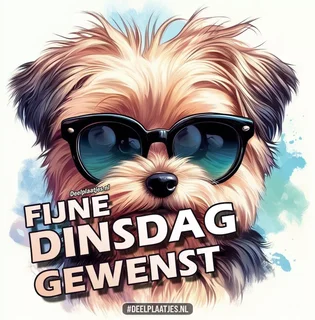 An den Beitrag angehängtes Bild: https://i.postimg.cc/g2ZDdx6N/deelplaatjes-nl-fijne-dinsdag-gewenst-432547.webp