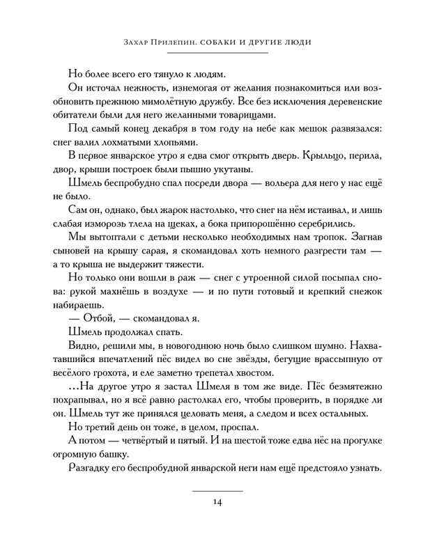ASE000000000875970-12