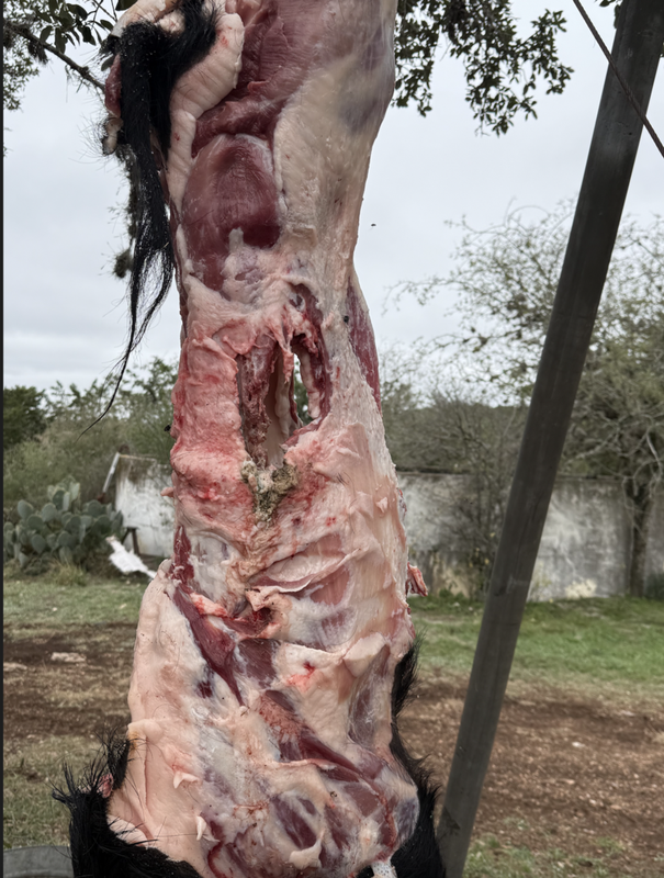 Screen Shot 2024-12-07 at 12.08.57 PM