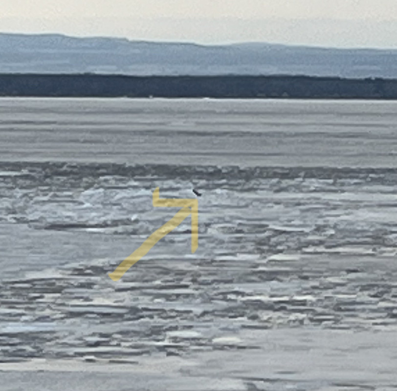 CDA15E17-E929-4979-8A52-6535CF4DD90D