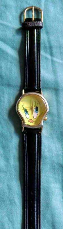 IMAG2556~2