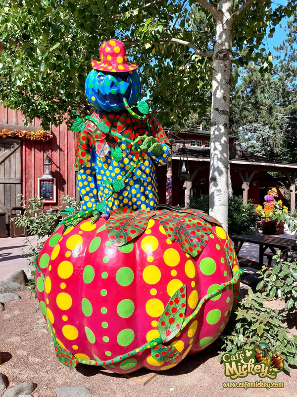 WhatsApp Image 2020-09-03 at 11.44.10 (2)