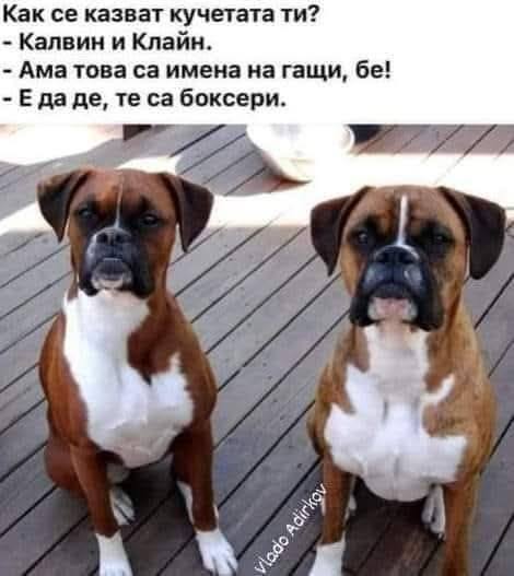 505227436_10228451914178750_984718909608974506_n