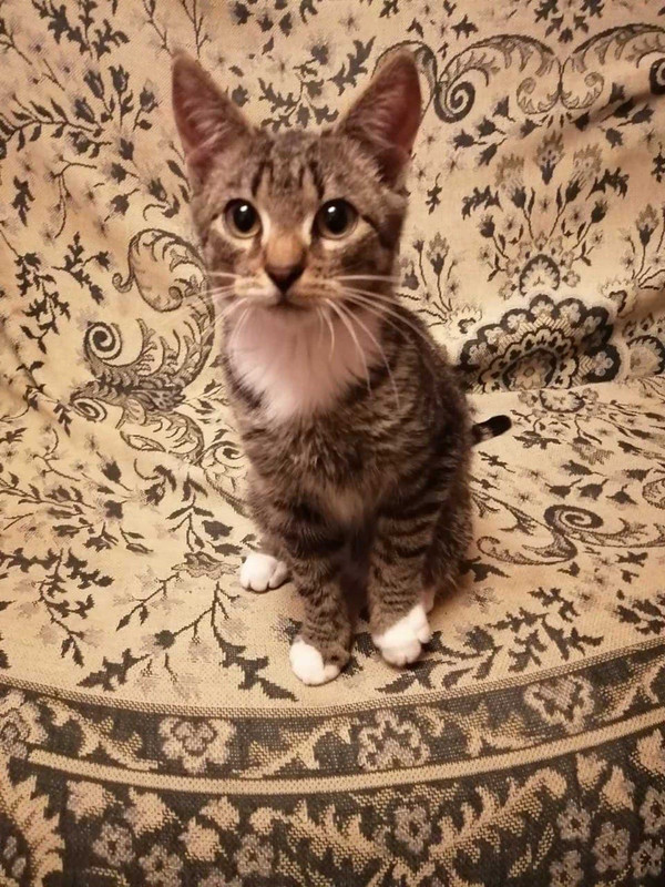 photo_2021-10-01_15-11-33