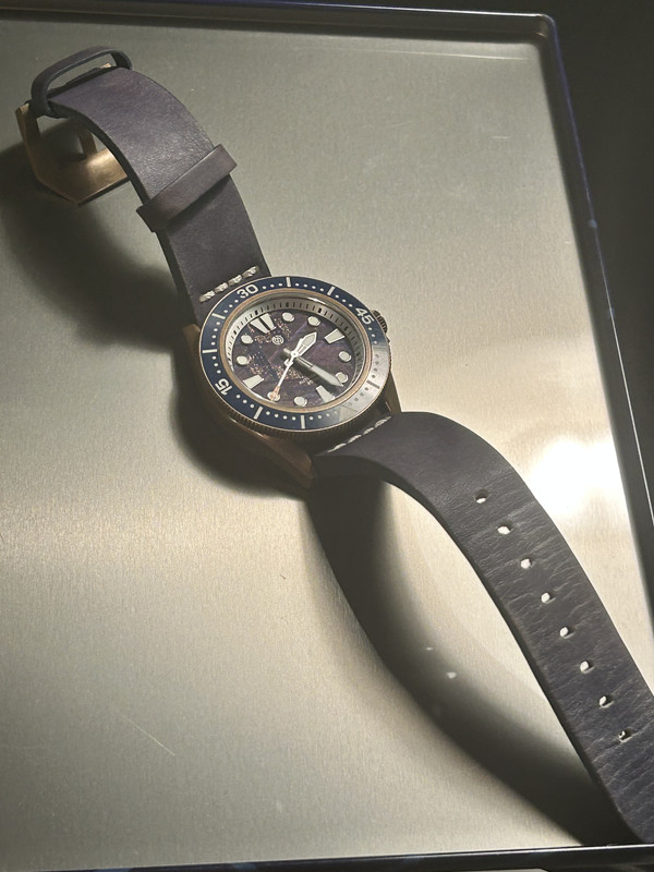 IMG 6008
