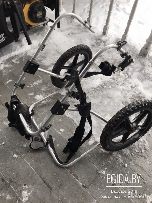 коляска витебск