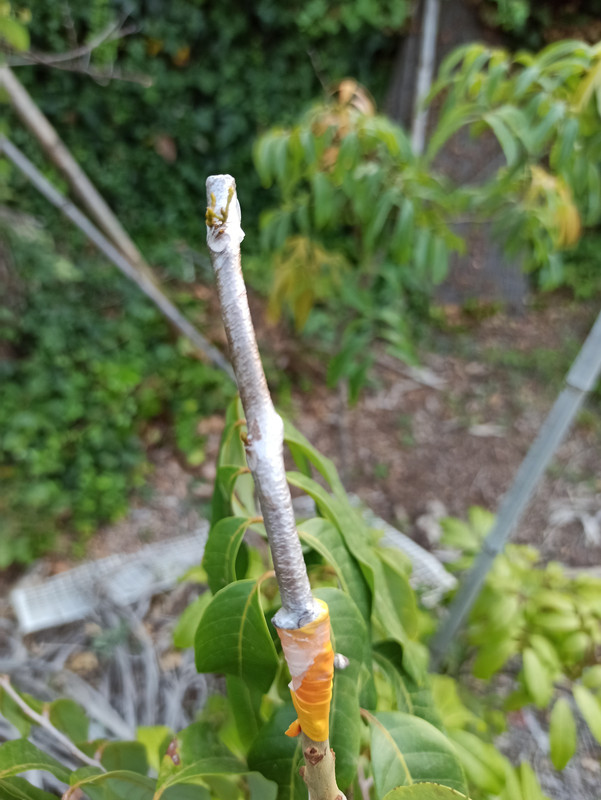 IMG_20200719_211141[1]