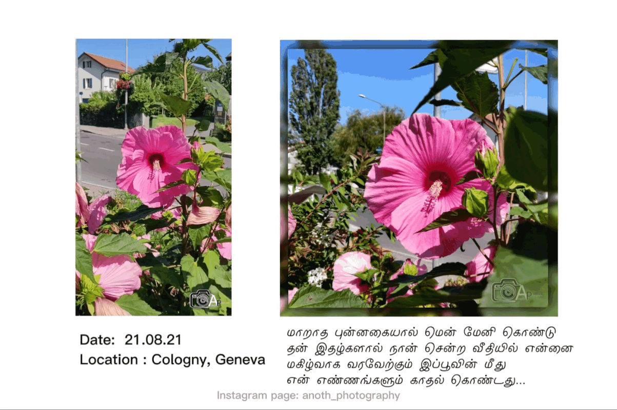 InShot-20210917-123541924 (1)