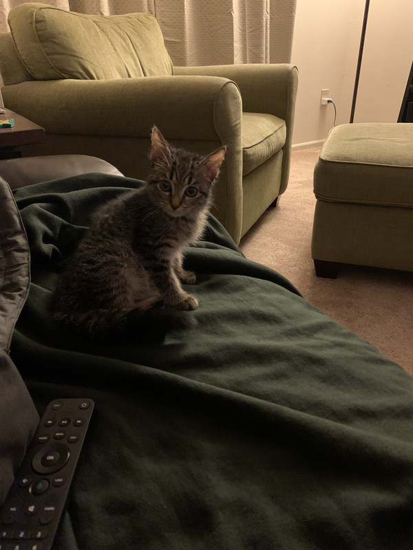 393C45EB-7013-48AC-95FE-222ADFD6EBA3