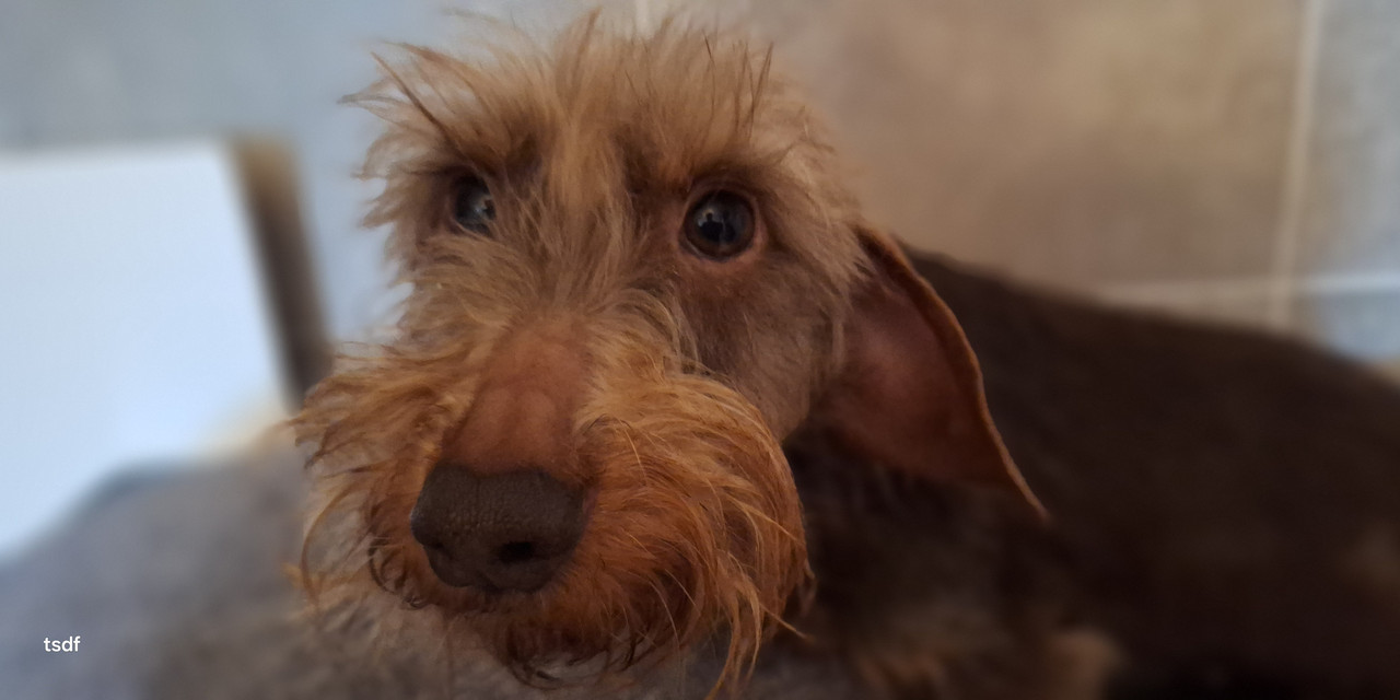 [Image: 20250330-132917.jpg]