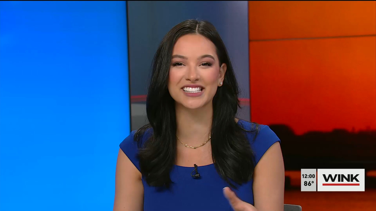 03.03 - 17.00.00 - The WINK Noon News  ᴺᵉʷ. Midday news update..ts_snapshot_06.24.259
