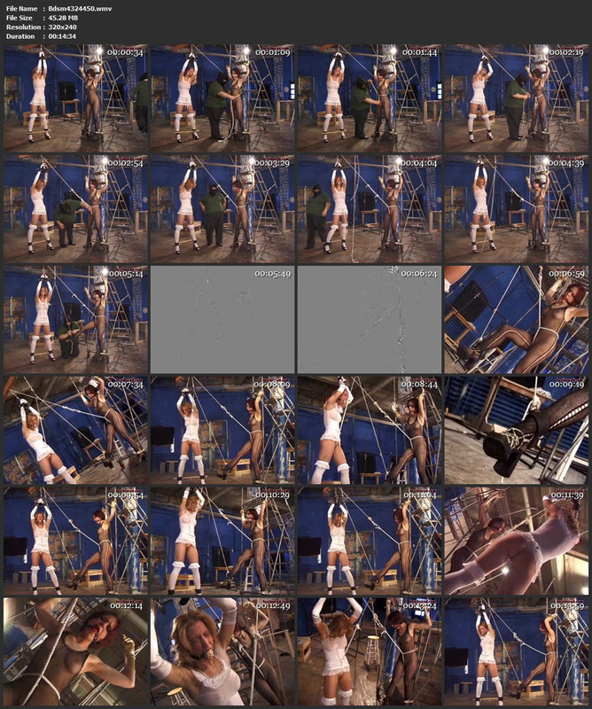 Bdsm4324450.wmv