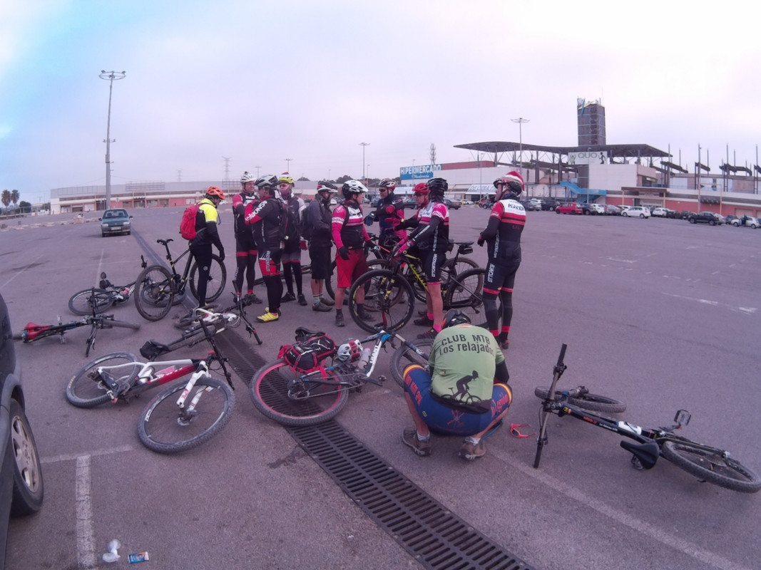 ASNOVESTRE ASNO MAVASA (6)