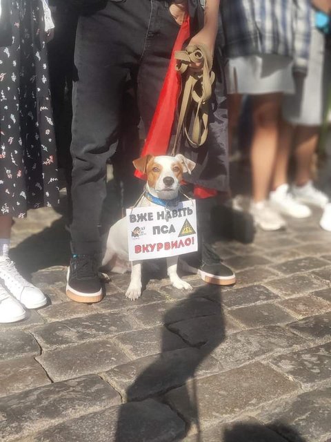 FB_IMG_1696097339659