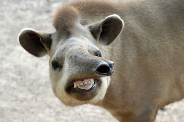 6a7499dda7d40fe3ea23878f0140eb51