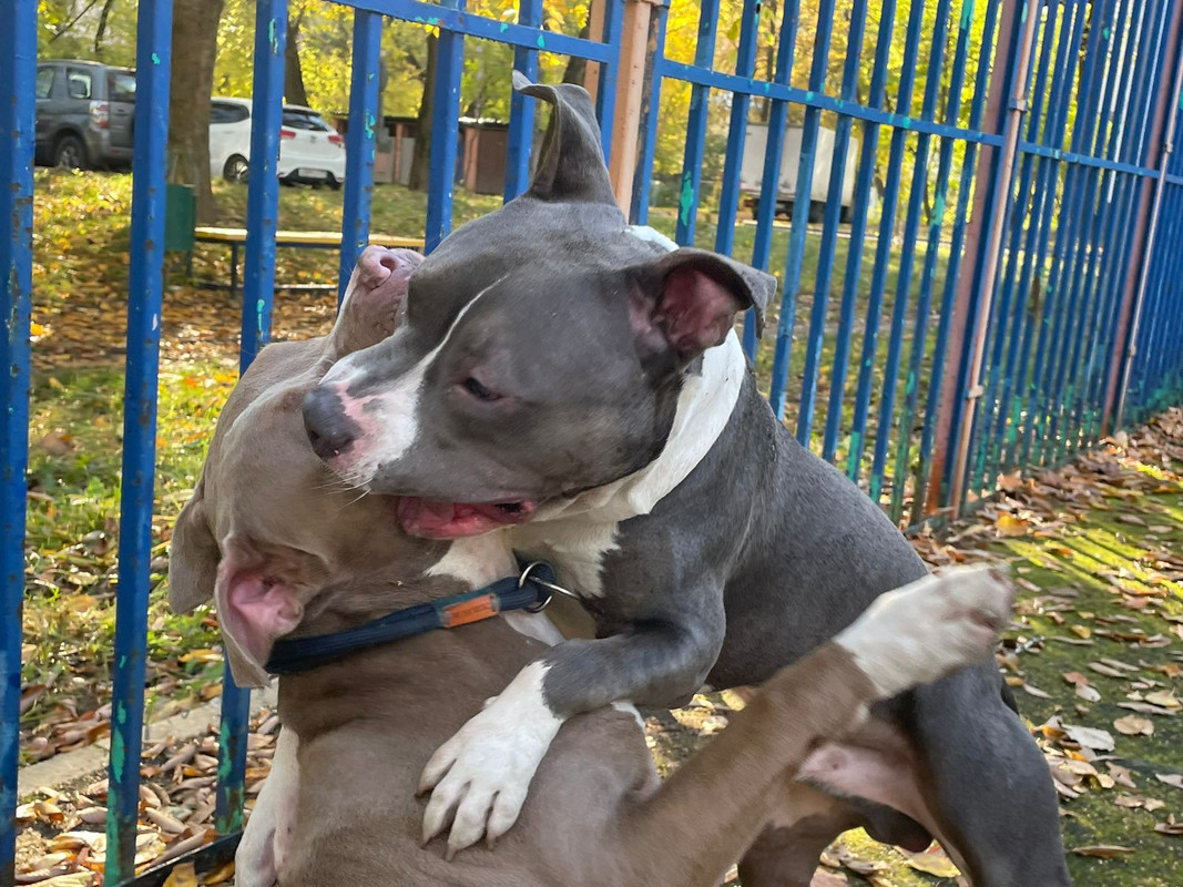 C6B86228-0372-4835-9EE7-2D495661F04E